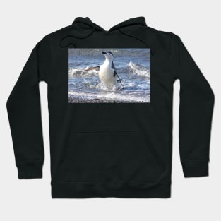 Chinstrap penguin coming back from fishing Hoodie